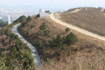 峙山公园第 7 张图片