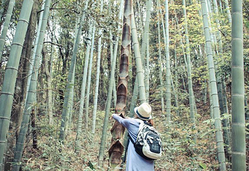 文公山第 30 张图片