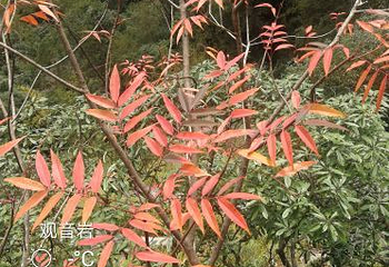 三爪仑观音岩第 10 张图片