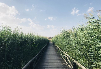 腾格里沙漠月亮湖第 34 张图片
