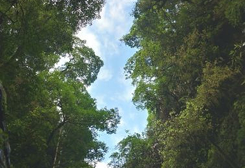 清江风景旅游区第 21 张图片