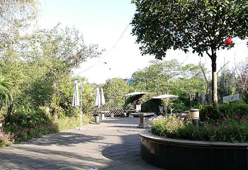中华蝴蝶生态城第 19 张图片