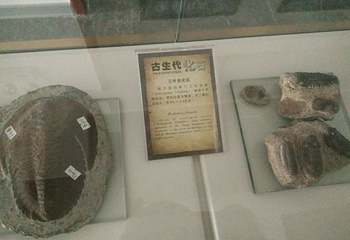 武义温泉萤石博物馆第 27 张图片
