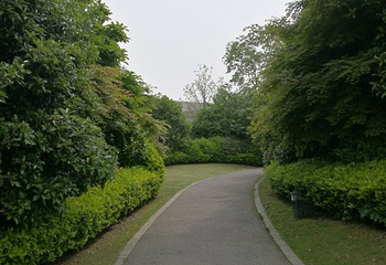 阳山桃花岛景观公园第 5 张图片