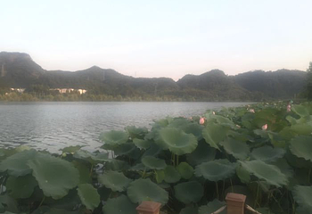 新安江滨水旅游景区第 41 张图片