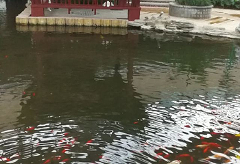 尧山福泉温泉第 40 张图片