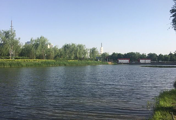 鸟巢空中走廊第 16 张图片
