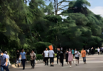 中山陵景区第 40 张图片