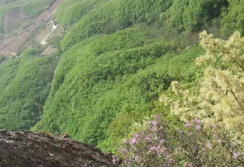 白云山第 46 张图片