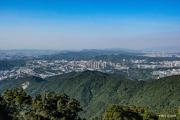 阳台山森林公园第 13 张图片