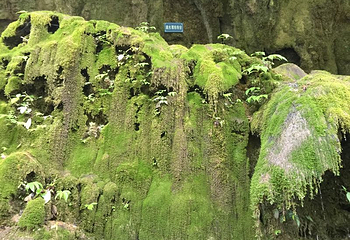 香火岩景区第 16 张图片