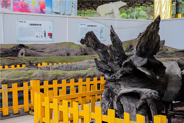 观音山旅游风景区第 16 张图片