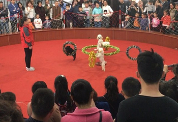 泰州凤城河田园牧歌景区第 18 张图片