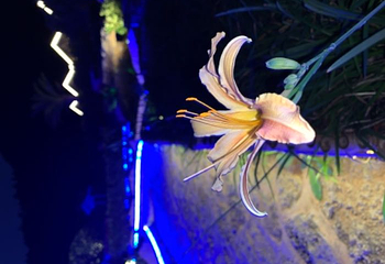 武陵峡口温泉第 7 张图片