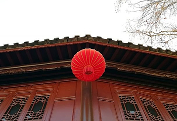 昆明景星花鸟市场第 22 张图片
