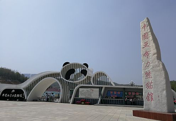 中国亚布力熊猫馆第 22 张图片