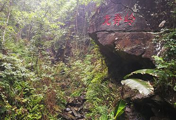 牛姆林生态旅游区第 56 张图片