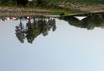 怪石洞第 19 张图片