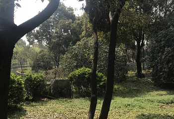 迪沟风景区第 27 张图片