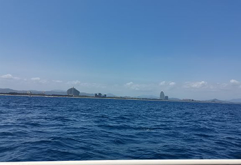 亚龙湾海底世界第 61 张图片