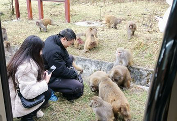 阿坝州汶川特别旅游区第 41 张图片