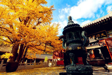 红螺寺第 188 张图片