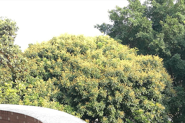 巧溪漂流第 3 张图片
