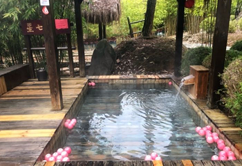 崇阳浪口森林温泉第 28 张图片
