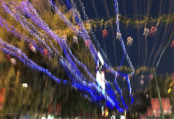 拉萨清真大寺第 16 张图片