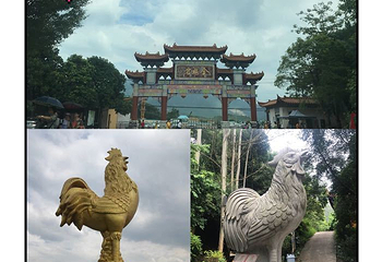 清远金鸡岩第 42 张图片
