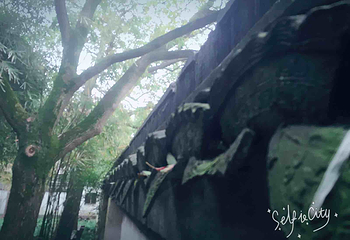 珠溪园第 3 张图片