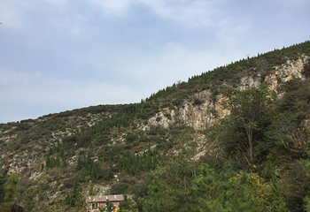 金象山橡谷国际营地第 55 张图片