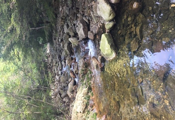九龙潭景区（青松岭大峡谷）第 19 张图片