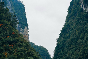 东拉山大峡谷第 15 张图片