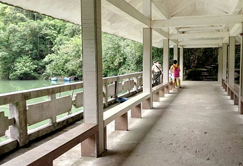 黄金沟森林旅游景区第 18 张图片