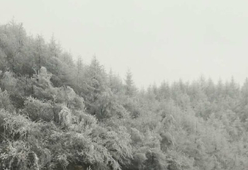 茅草坝滑雪场第 14 张图片