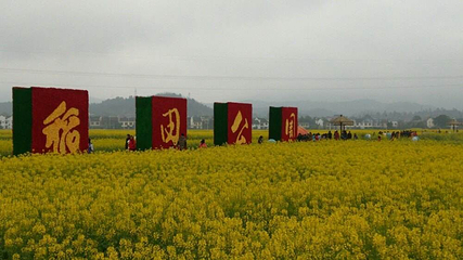 太原康培稻田公园第 33 张图片
