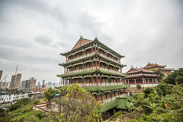 梅峰寺第 17 张图片