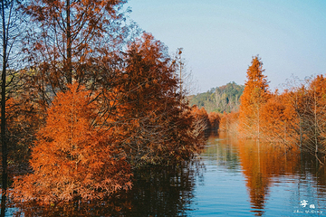 青龙湾生态旅游区第 30 张图片