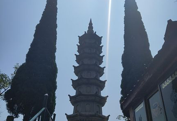 鄱阳湖候鸟保护区第 4 张图片