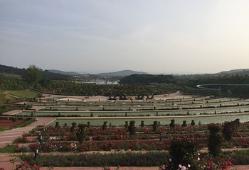 老乐山风景区第 61 张图片
