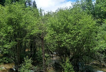 牟尼沟风景区第 95 张图片