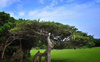 垦丁森林旅游区第 18 张图片
