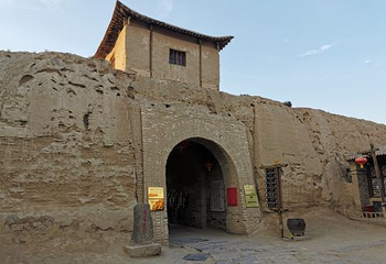 红玛瑙枸杞观光园第 22 张图片