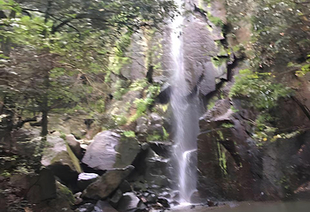 莫干山风景名胜区第 138 张图片