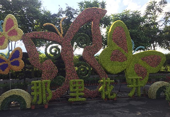 HAKKA客家农场第 88 张图片