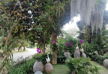 青秀山第 320 张图片