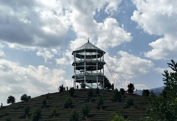 孔雀谷第 47 张图片