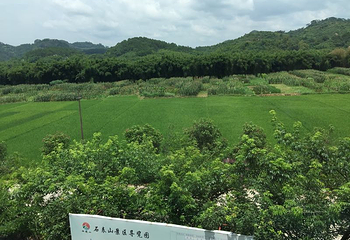 石表山休闲旅游风景区-古井景区第 14 张图片