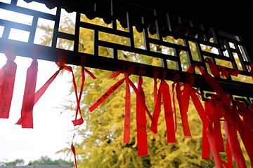 终南山观音禅寺第 12 张图片